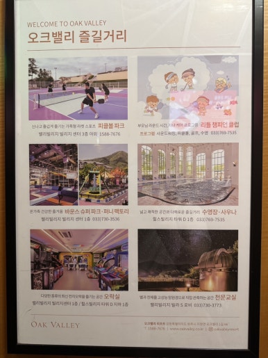 Oak Valley Resort Family Trip: A Complete Guide for Your Wonju Getaway image 19