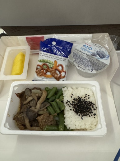 Miyazaki Solo Travel Guide: A 2-Day Rainy Season Escape to Aoshima image 3