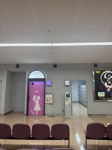 Miyazaki Solo Travel Guide: A 2-Day Rainy Season Escape to Aoshima image 8