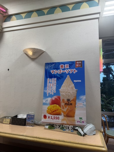 Miyazaki Solo Travel Guide: A 2-Day Rainy Season Escape to Aoshima image 12