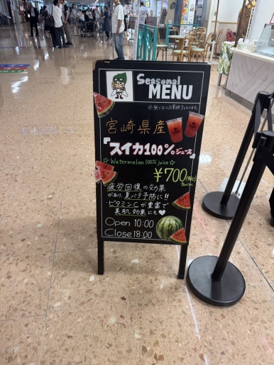 Miyazaki Solo Travel Guide: A 2-Day Rainy Season Escape to Aoshima image 13