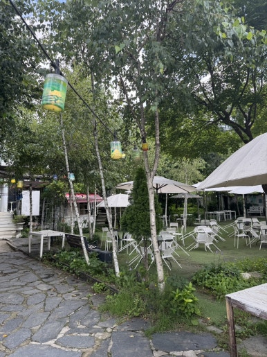 Garden Gallery Namyangju: A Perfect Spot for Family Dining and Scenic Views image 2