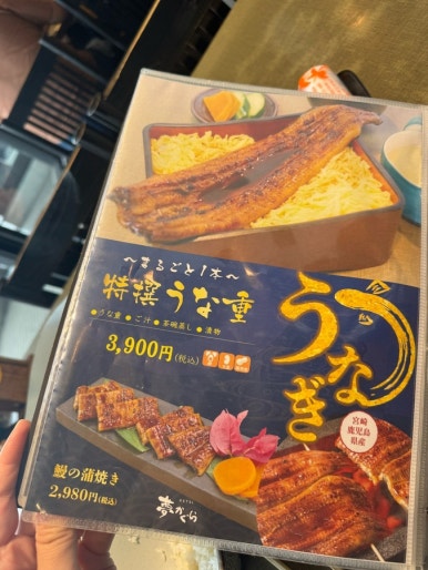 Dining at Yumekagura: A Perfect Final Meal at Miyazaki Airport image 26