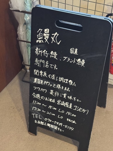 A Hidden Gem for Solo Travelers: Why You Must Try Unagi at Manmaru in Miyazaki image 4