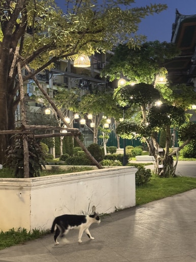Bangkok Night Tuk-Tuk Tour: A Perfect Family Adventure with Kids image 30