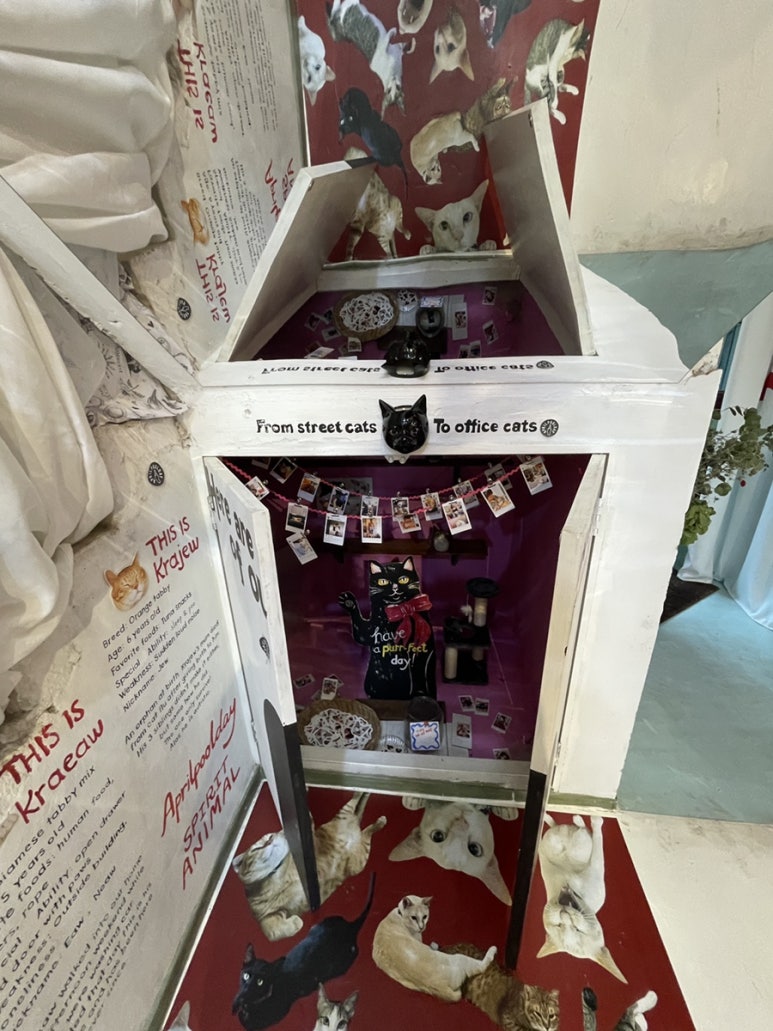 A Guide to Shopping at Aprilpoolday in Bangkok image 16