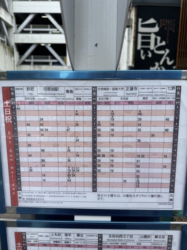 Miyazaki Aoshima Day Trip: A Cost-Effective Guide Using the Holiday Pass image 2