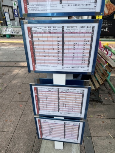 Miyazaki Aoshima Day Trip: A Cost-Effective Guide Using the Holiday Pass image 3