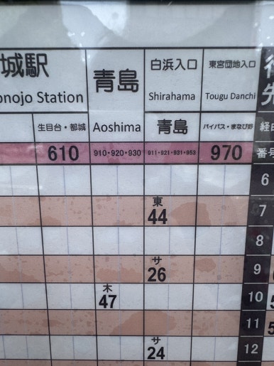Miyazaki Aoshima Day Trip: A Cost-Effective Guide Using the Holiday Pass image 4