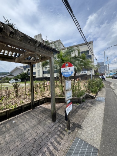Miyazaki Aoshima Day Trip: A Cost-Effective Guide Using the Holiday Pass image 5