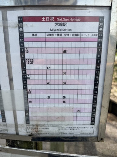 Miyazaki Aoshima Day Trip: A Cost-Effective Guide Using the Holiday Pass image 6