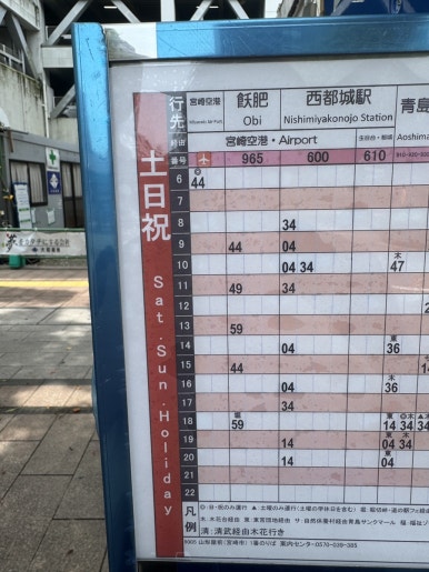 Miyazaki Aoshima Day Trip: A Cost-Effective Guide Using the Holiday Pass image 7