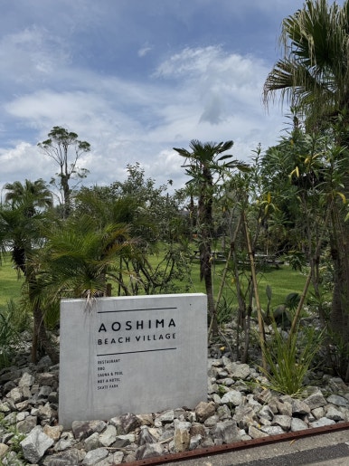 Miyazaki Aoshima Day Trip: A Cost-Effective Guide Using the Holiday Pass image 11