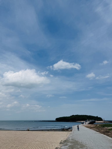 Miyazaki Aoshima Day Trip: A Cost-Effective Guide Using the Holiday Pass