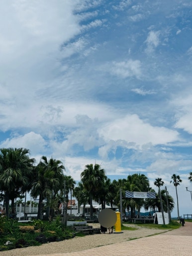 Miyazaki Aoshima Day Trip: A Cost-Effective Guide Using the Holiday Pass image 13