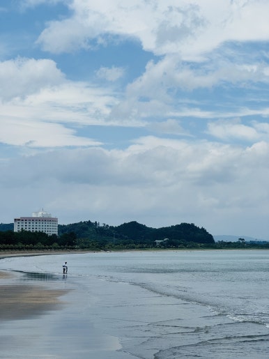 Miyazaki Aoshima Day Trip: A Cost-Effective Guide Using the Holiday Pass image 14