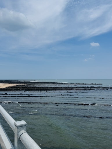 Miyazaki Aoshima Day Trip: A Cost-Effective Guide Using the Holiday Pass image 15