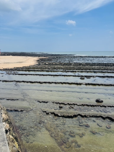 Miyazaki Aoshima Day Trip: A Cost-Effective Guide Using the Holiday Pass image 16