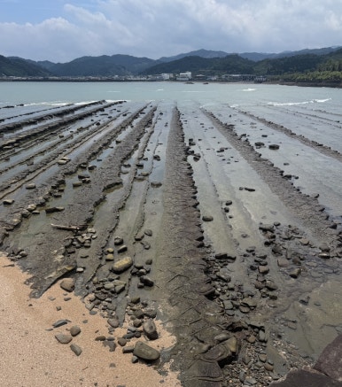 Miyazaki Aoshima Day Trip: A Cost-Effective Guide Using the Holiday Pass image 17