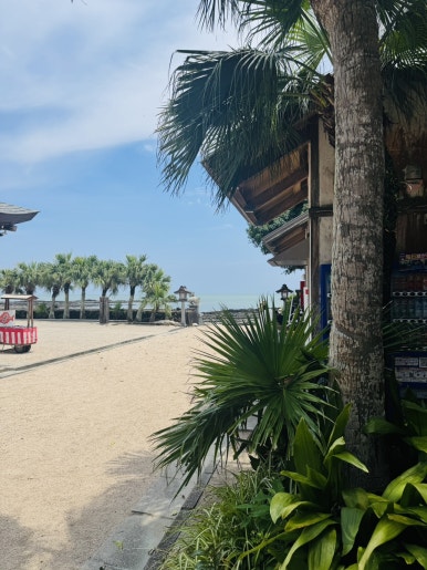 Miyazaki Aoshima Day Trip: A Cost-Effective Guide Using the Holiday Pass image 21