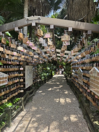 Miyazaki Aoshima Day Trip: A Cost-Effective Guide Using the Holiday Pass image 24