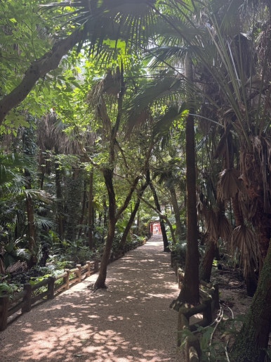 Miyazaki Aoshima Day Trip: A Cost-Effective Guide Using the Holiday Pass image 25