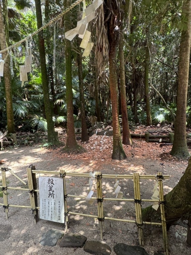 Miyazaki Aoshima Day Trip: A Cost-Effective Guide Using the Holiday Pass image 26