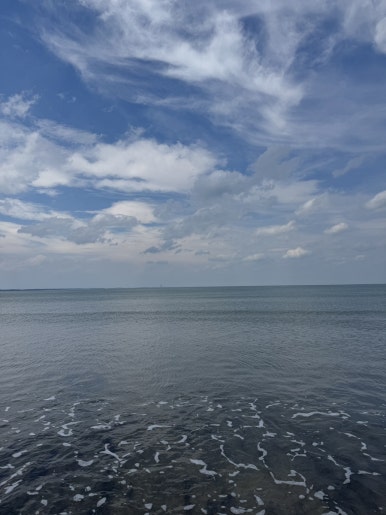Miyazaki Aoshima Day Trip: A Cost-Effective Guide Using the Holiday Pass image 30