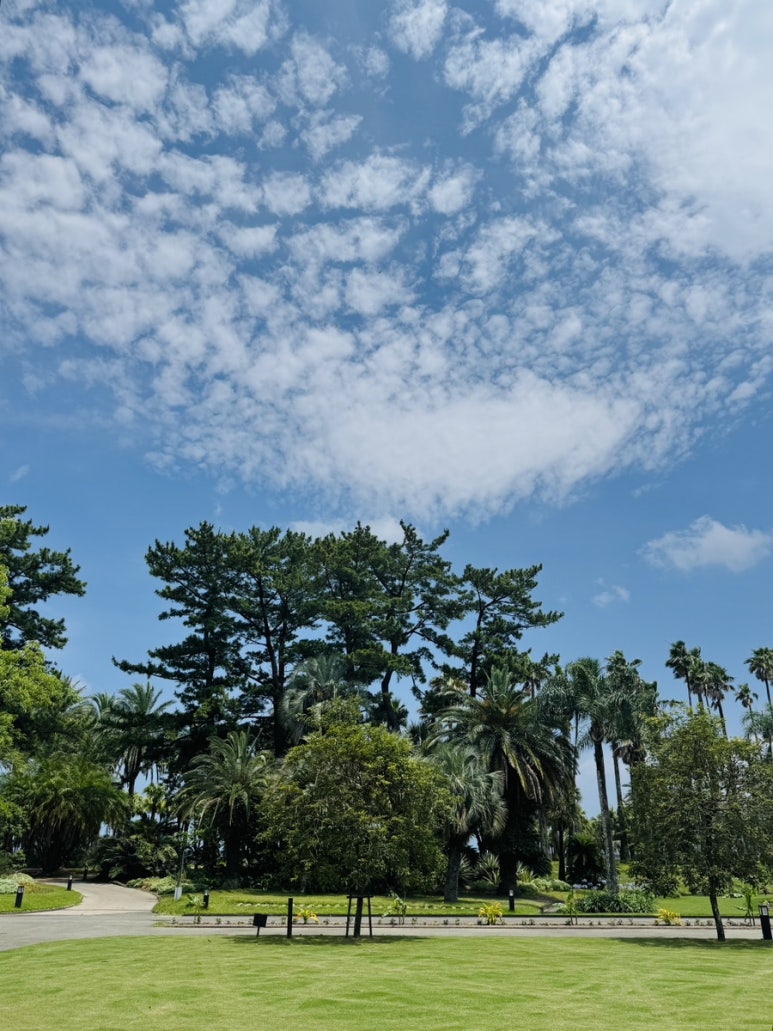 Miyazaki Aoshima Day Trip: A Cost-Effective Guide Using the Holiday Pass image 35