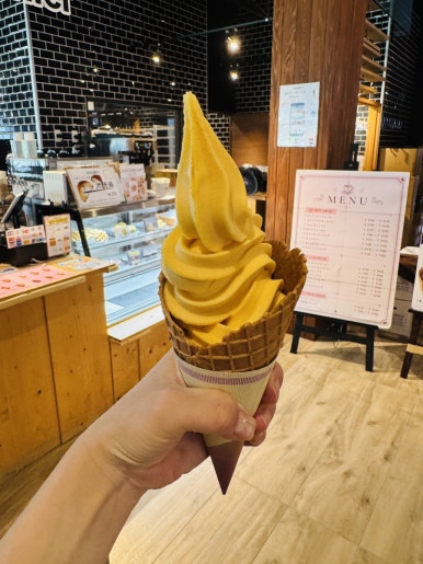 Miyazaki Aoshima Day Trip: A Cost-Effective Guide Using the Holiday Pass image 37