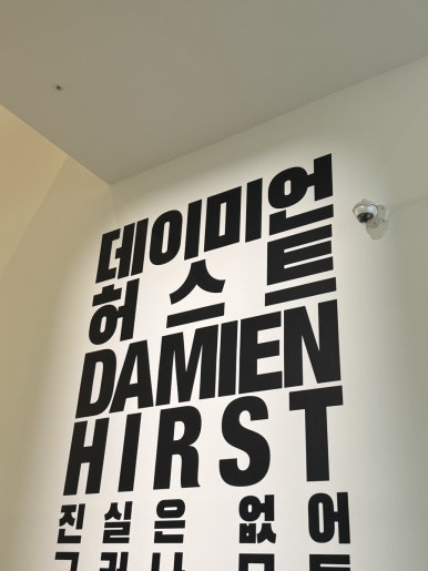 【ソウル展示】ダミアン・ハースト展：国立現代美術館で触れる生と死の衝撃の画像2