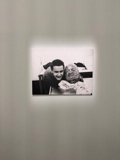 【ソウル展示】ダミアン・ハースト展：国立現代美術館で触れる生と死の衝撃の画像5