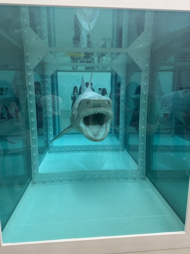 【ソウル展示】ダミアン・ハースト展：国立現代美術館で触れる生と死の衝撃の画像10