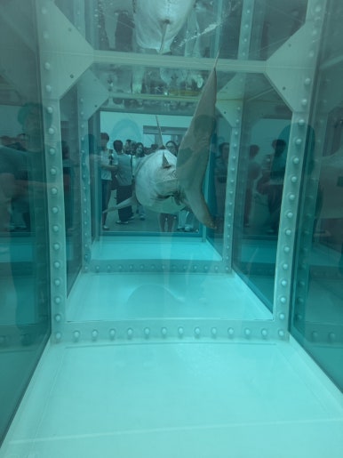 【ソウル展示】ダミアン・ハースト展：国立現代美術館で触れる生と死の衝撃の画像11