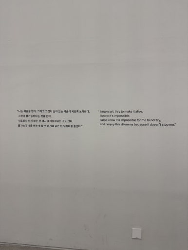 【ソウル展示】ダミアン・ハースト展：国立現代美術館で触れる生と死の衝撃の画像13