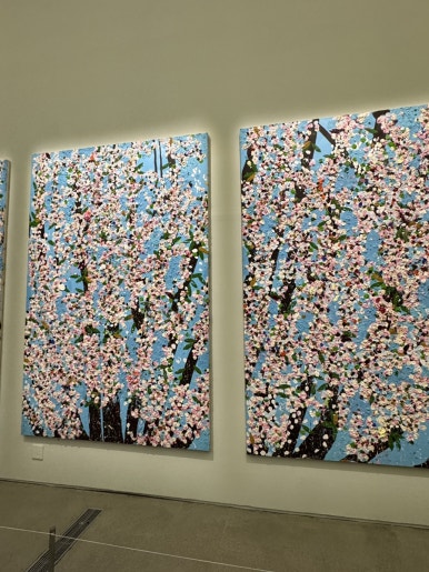 【ソウル展示】ダミアン・ハースト展：国立現代美術館で触れる生と死の衝撃の画像16