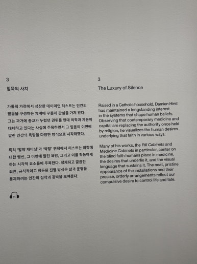 【ソウル展示】ダミアン・ハースト展：国立現代美術館で触れる生と死の衝撃の画像17
