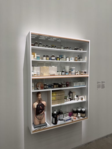 【ソウル展示】ダミアン・ハースト展：国立現代美術館で触れる生と死の衝撃の画像19