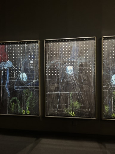 【ソウル展示】ダミアン・ハースト展：国立現代美術館で触れる生と死の衝撃の画像28
