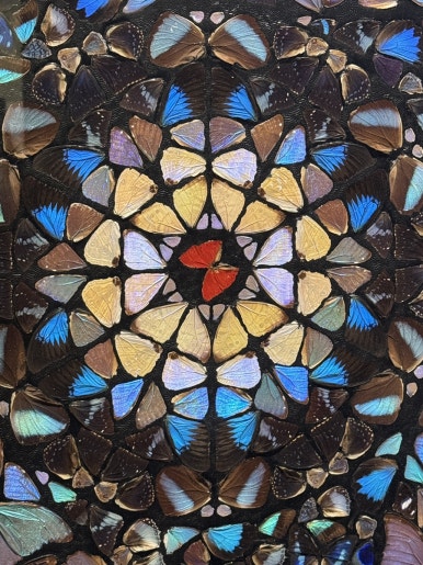 Damien Hirst at MMCA Seoul: A Review of 'The Weight of Truth' image 7