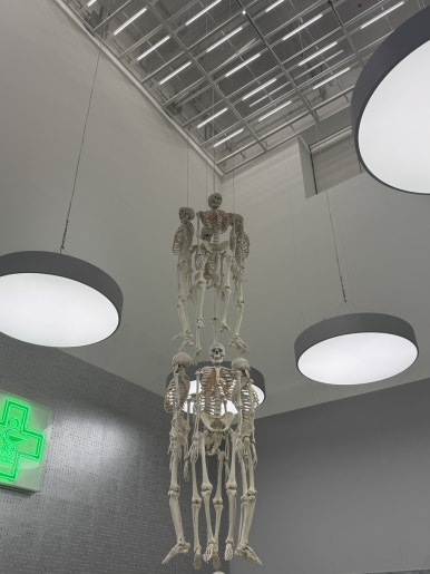 【ソウル展示】ダミアン・ハースト展：国立現代美術館で触れる生と死の衝撃の画像33