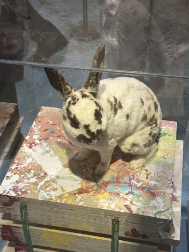 【ソウル展示】ダミアン・ハースト展：国立現代美術館で触れる生と死の衝撃の画像36